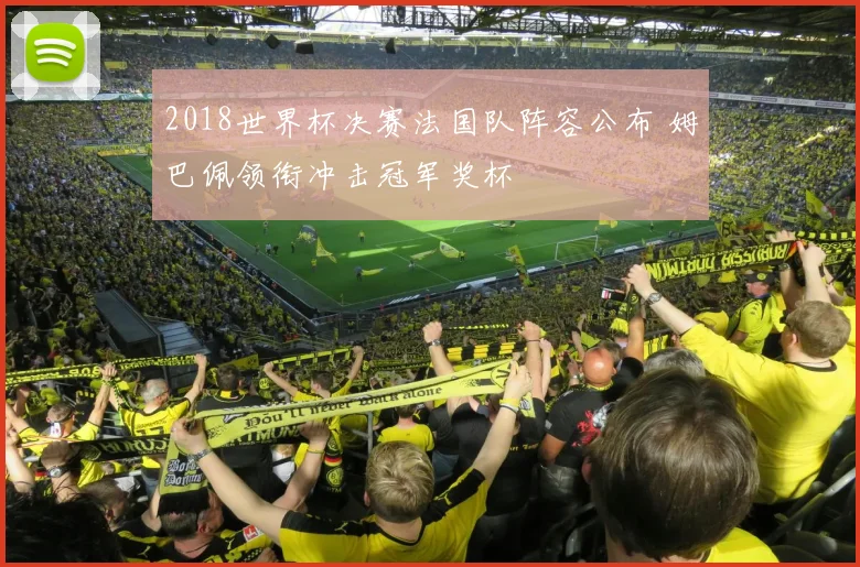 2018世界杯决赛法国队阵容公布 姆巴佩领衔冲击冠军奖杯